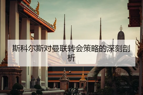 斯科尔斯对曼联转会策略的深刻剖析